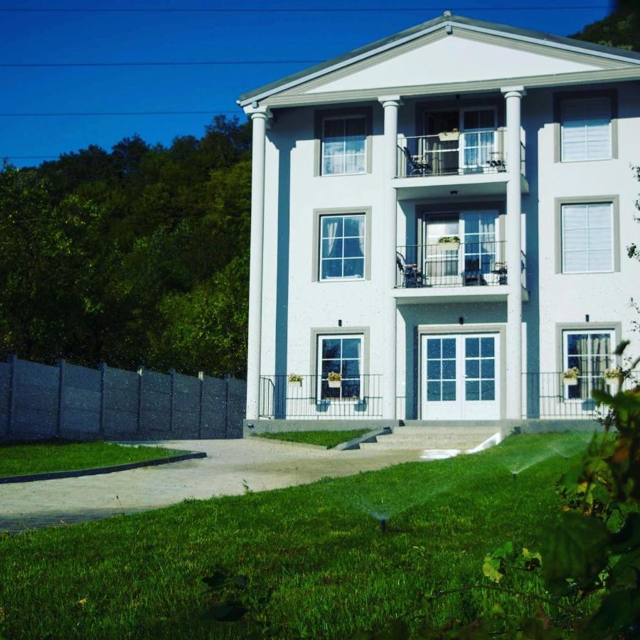 Green Hill Villa Calimanesti Exterior photo