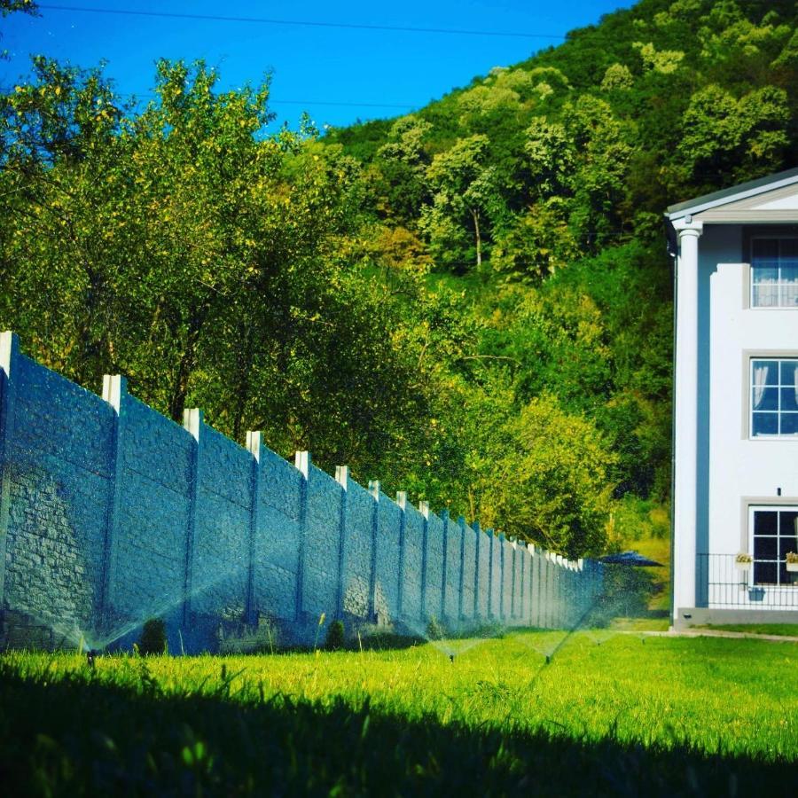 Green Hill Villa Calimanesti Exterior photo